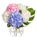 Buchet hortensii colorate
