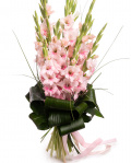 Bouquet of pink gladioli