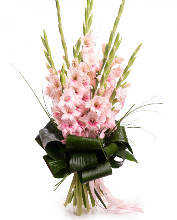 Buchet cu gladiole roz – imaginea 1