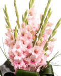 Buchet cu gladiole roz – imaginea 2