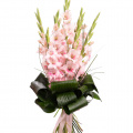 Buchet cu gladiole roz