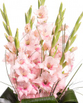 Buchet cu gladiole roz – imaginea 2