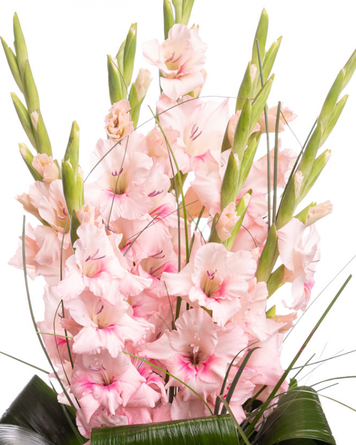 Buchet cu gladiole roz – imaginea 2
