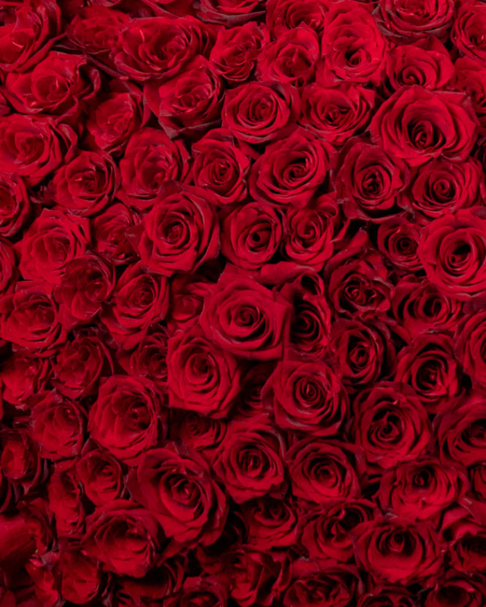 Buchet 201 trandafiri roșii „Timeless Romance” – imaginea 2