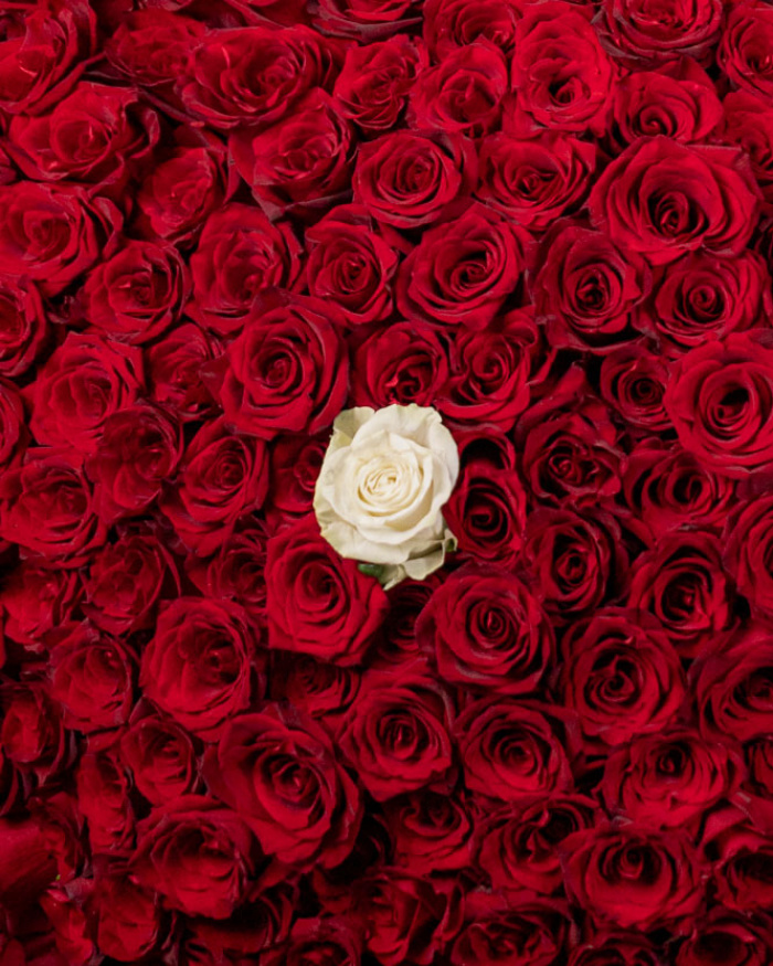 ”Forever Yours” 201 Roses and Heart-Shaped Balloons – imaginea 2