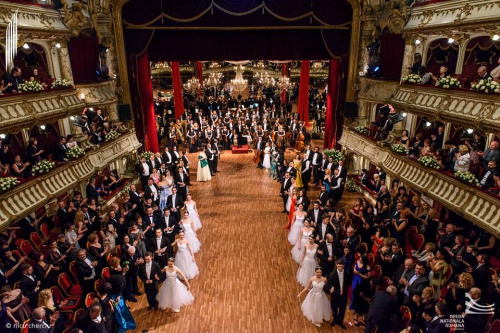 Opera Ball