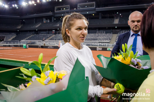 Fed Cup 2018 – imaginea 1