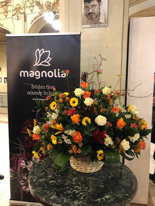 Baletul pe gheață din St. Petersburg Cluj 2019 – imaginea 1