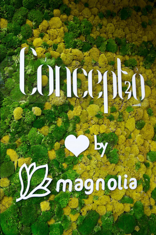 Concepto 2019 – imaginea 3