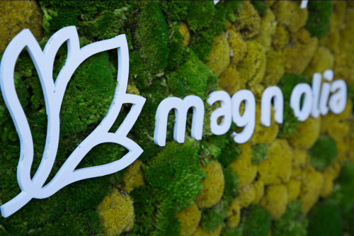 Concepto 2019 – imaginea 4