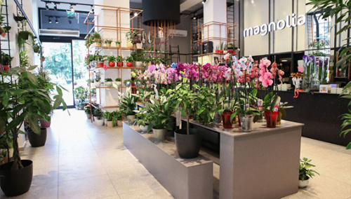 Stefan cel Mare Square - Cluj Napoca Centre – imaginea 2