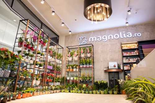 VIVO! shopping center - Cluj-Napoca – imaginea 2