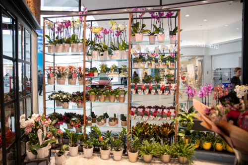 VIVO! shopping center - Cluj-Napoca – imaginea 4