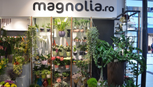 City Constanța – imaginea 2