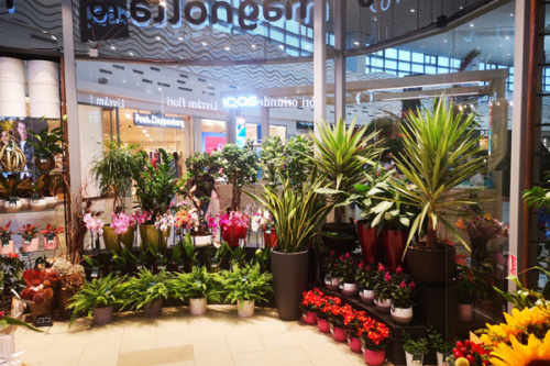 VIVO! Constanta Flower Shop