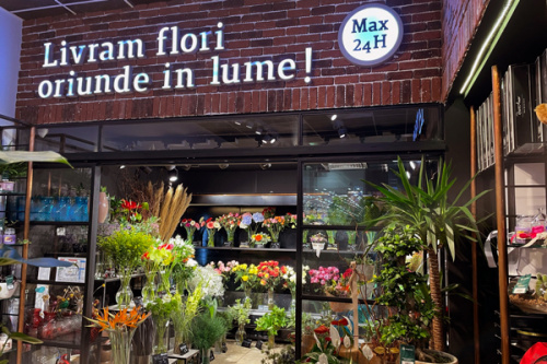 Timișoara Shopping City – imaginea 2