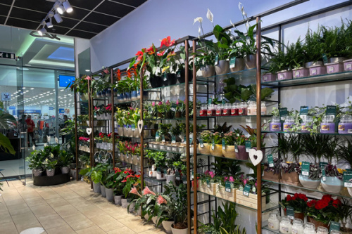 Timișoara Shopping City – imaginea 3