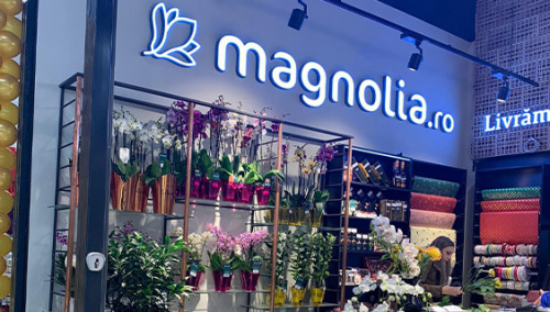 Promenada Sibiu – imaginea 1