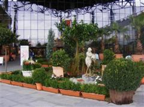 GRĂDINĂ ÎN STIL ROMAN LA IULIUS MALL CLUJ – imaginea 1