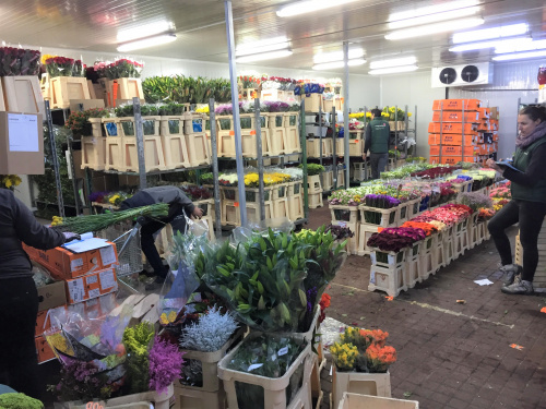 Distribuţie şi vânzare flori en gros – imaginea 12