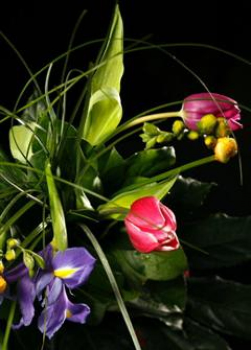 CUM SĂ CREŞTEM DURATA DE VIAŢĂ A FLORILOR – imaginea 1