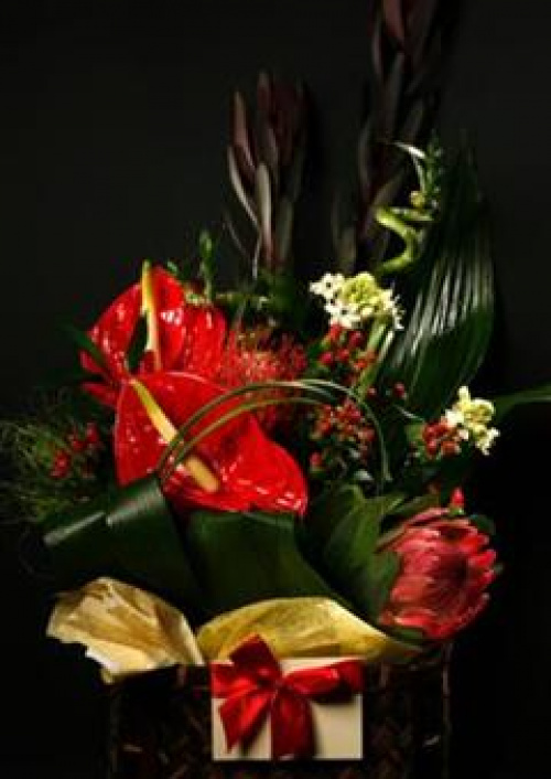 CUM SĂ CREŞTEM DURATA DE VIAŢĂ A FLORILOR – imaginea 4