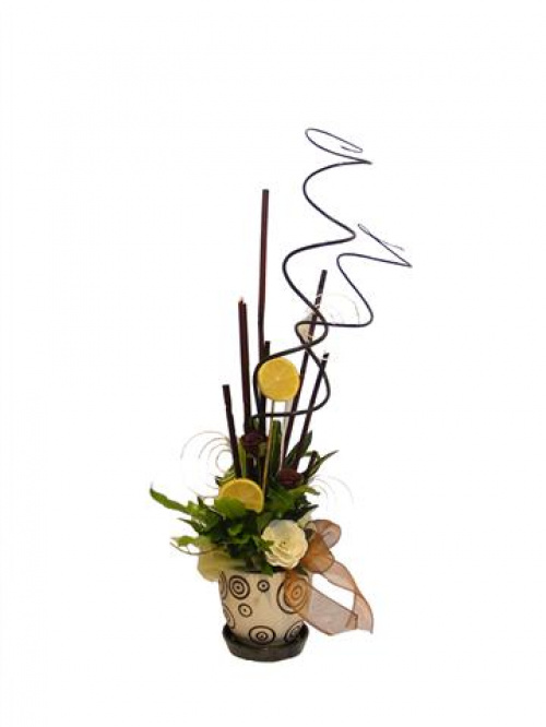 Aranjamente cu plante si accesorii – imaginea 1