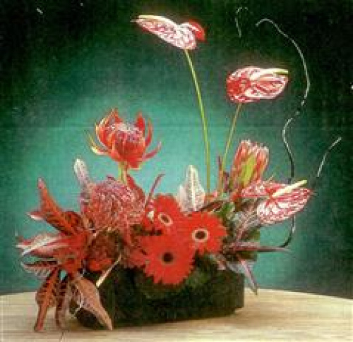 ARANJAMENTELE FLORALE ŞI EFECTELE PSIHOLOGICE ALE CULORILOR – imaginea 2