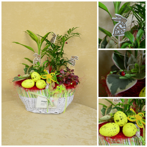Aranjamente de Paște 2013 – imaginea 7