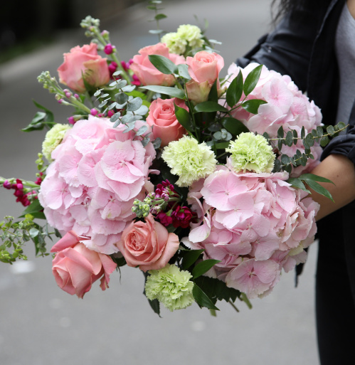 Hortensia (Hydrangea)- plantare și îngrijire – imaginea 3