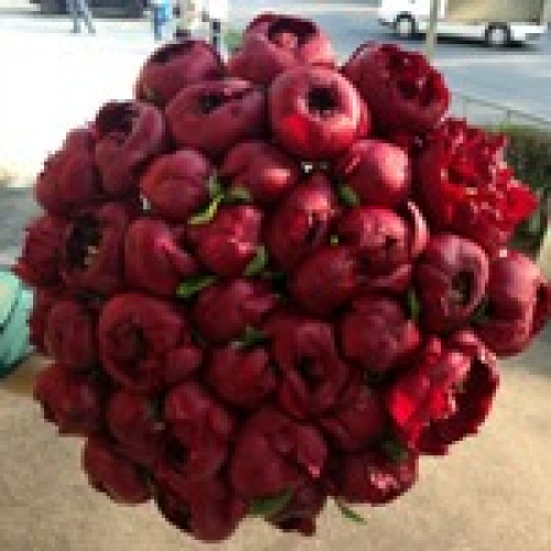 Buchet bujori bordo – imaginea 5