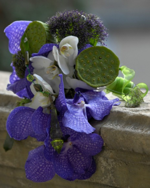 Orhideea Vanda – imaginea 6