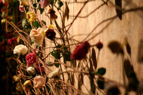 Expoziția „Timpul florilor” din Girona – imaginea 2