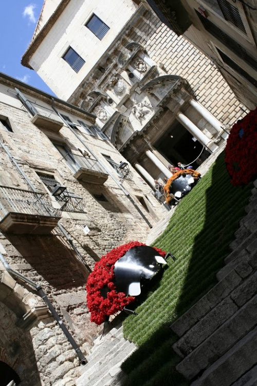 Expoziția „Timpul florilor” din Girona – imaginea 14