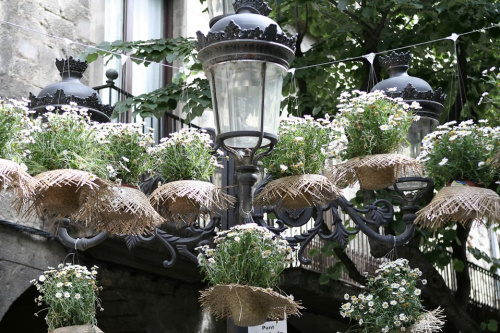 Expoziția „Timpul florilor” din Girona – imaginea 15