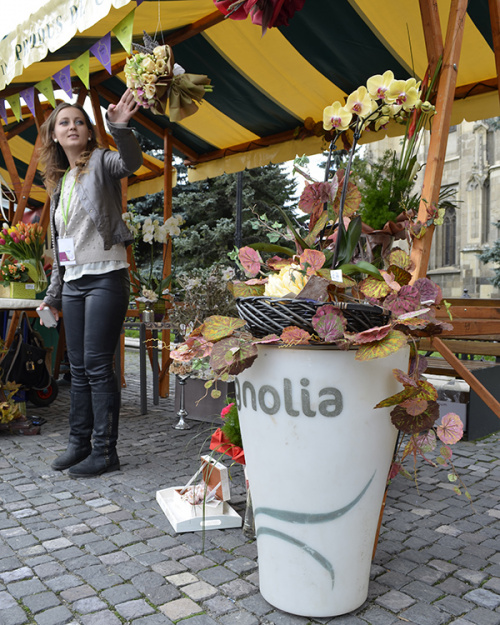 Florăriile Magnolia la Transilvania Fest – imaginea 4