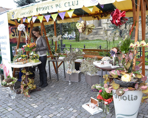 Florăriile Magnolia la Transilvania Fest – imaginea 5
