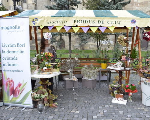 Florăriile Magnolia la Transilvania Fest – imaginea 6