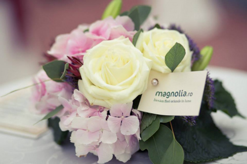 Magnolia a călătorit în timp la Noblesse – imaginea 2