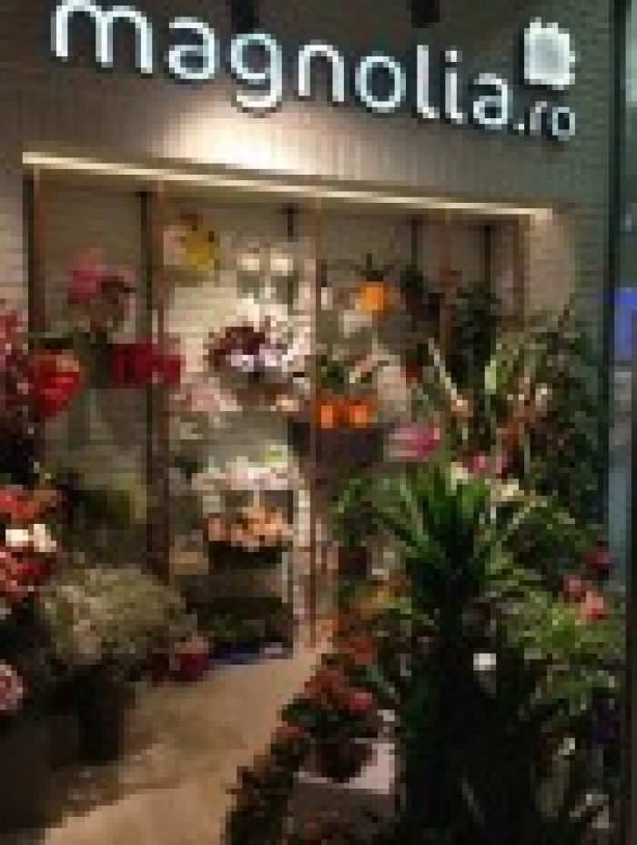 DESCOPERIȚI FLORĂRIA-BIJUTERIE LA BRAȘOV