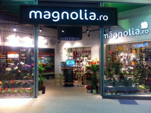 DESCOPERIȚI FLORĂRIA-BIJUTERIE LA BRAȘOV – imaginea 1