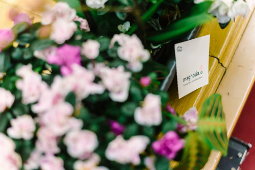 Ateneul Român, plin de flori Magnolia – imaginea 2