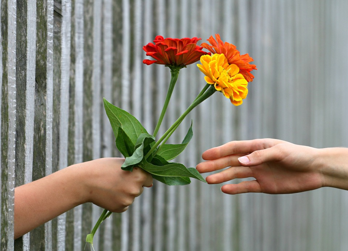 Florile și bunele maniere Florile și bunele maniere