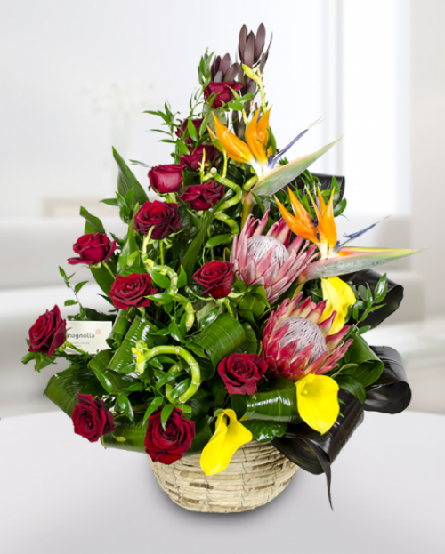 Care sunt florile potrivite pentru fiecare zodie – imaginea 14
