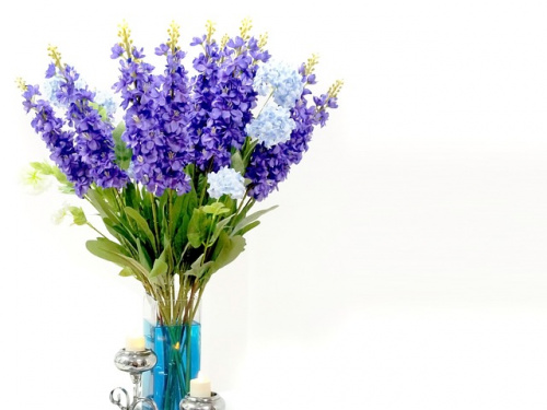 5 motive pentru care e bine să ai în casă flori de culoare violet – imaginea 1