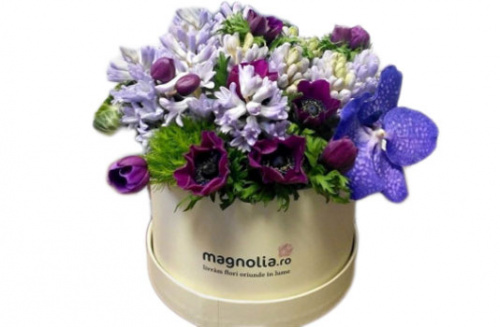 5 motive pentru care e bine să ai în casă flori de culoare violet – imaginea 5