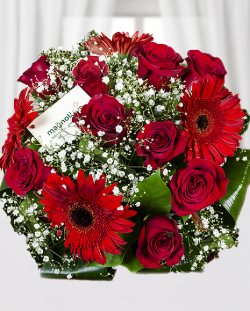 Gerbera- cu ce ocazie să o dăruiești și ce semnificații are – imaginea 1