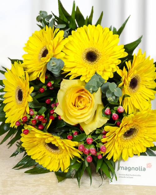 Gerbera- cu ce ocazie să o dăruiești și ce semnificații are – imaginea 2