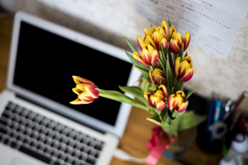 5 metode prin care poţi reduce stresul cu ajutorul florilor – imaginea 2