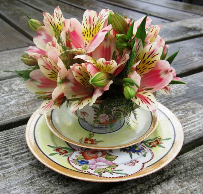 Alstroemeria, floarea potrivită pentru prieteni